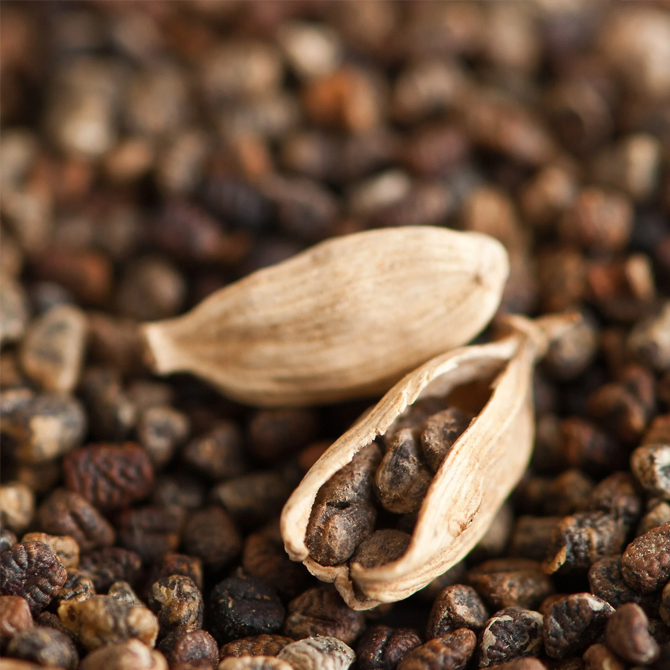 Cardamom Seed ESSENTIAL SPICES